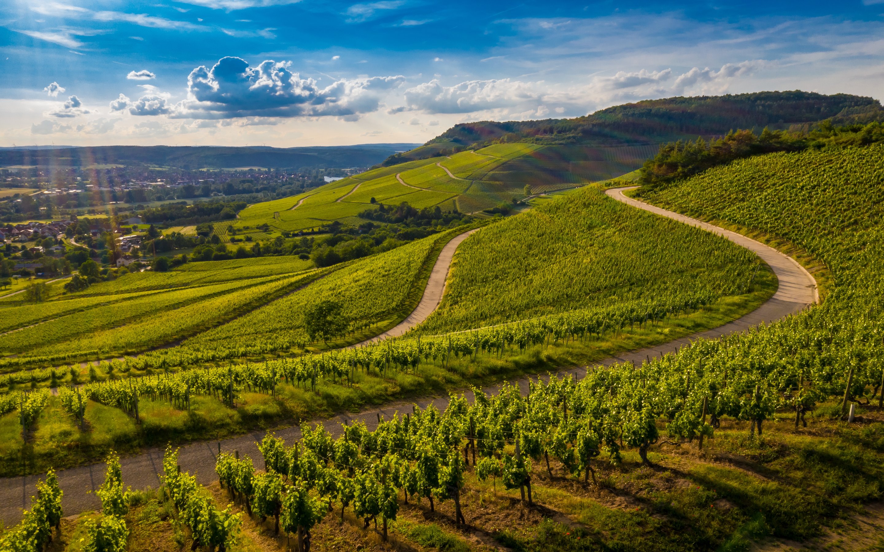 Green vineyard on the hills - Wallpapers for Apple MacBook 15″ in 2880x1800 resolution