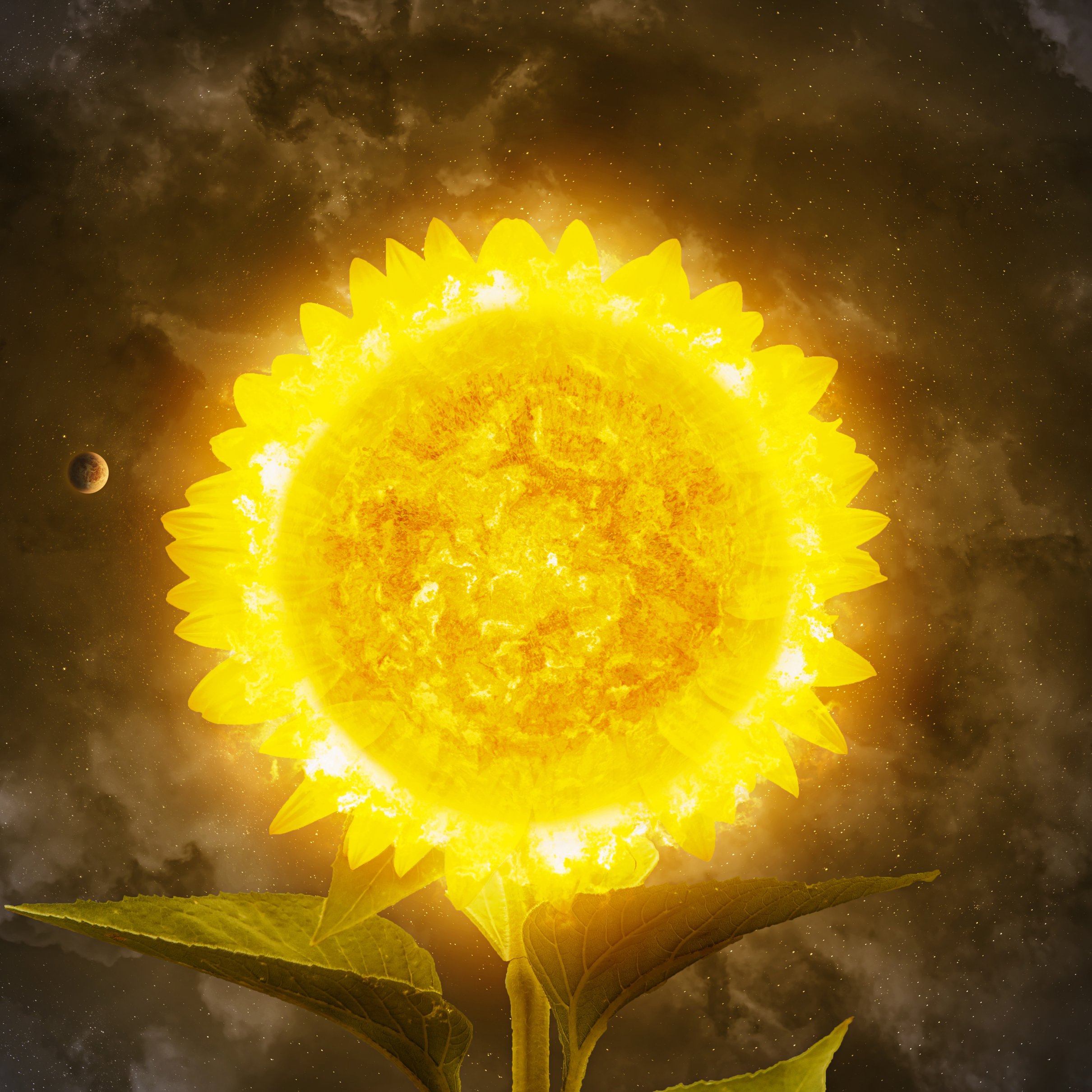 Sunflower sun with orbiting planets in space - Wallpapers for iPad Pro 11″ 2024 in 2420x2420 resolution