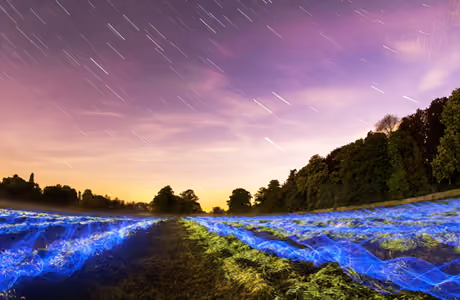 Nature wallpapers: light trails, night, long exposure, field