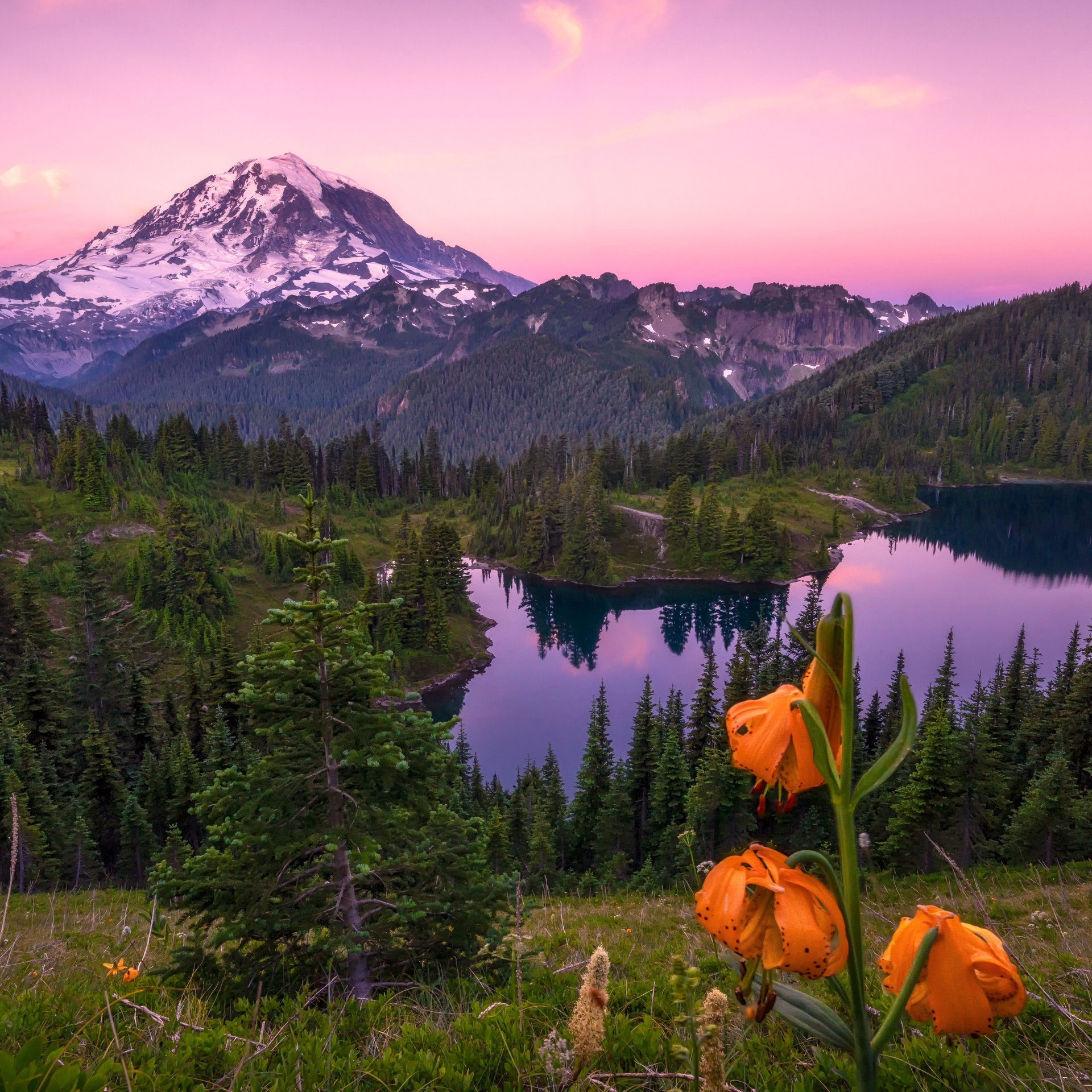 Mountain Valley at Twilight - Wallpapers for Samsung Galaxy Tab in 1920x1920 resolution