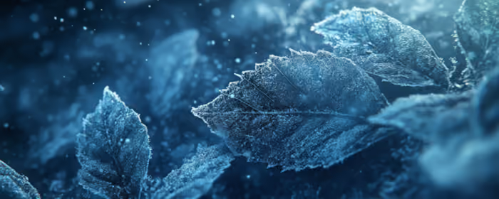 UltraWide 32:9 Cold wallpapers (5120x1440): leaves, winter, frost, snow