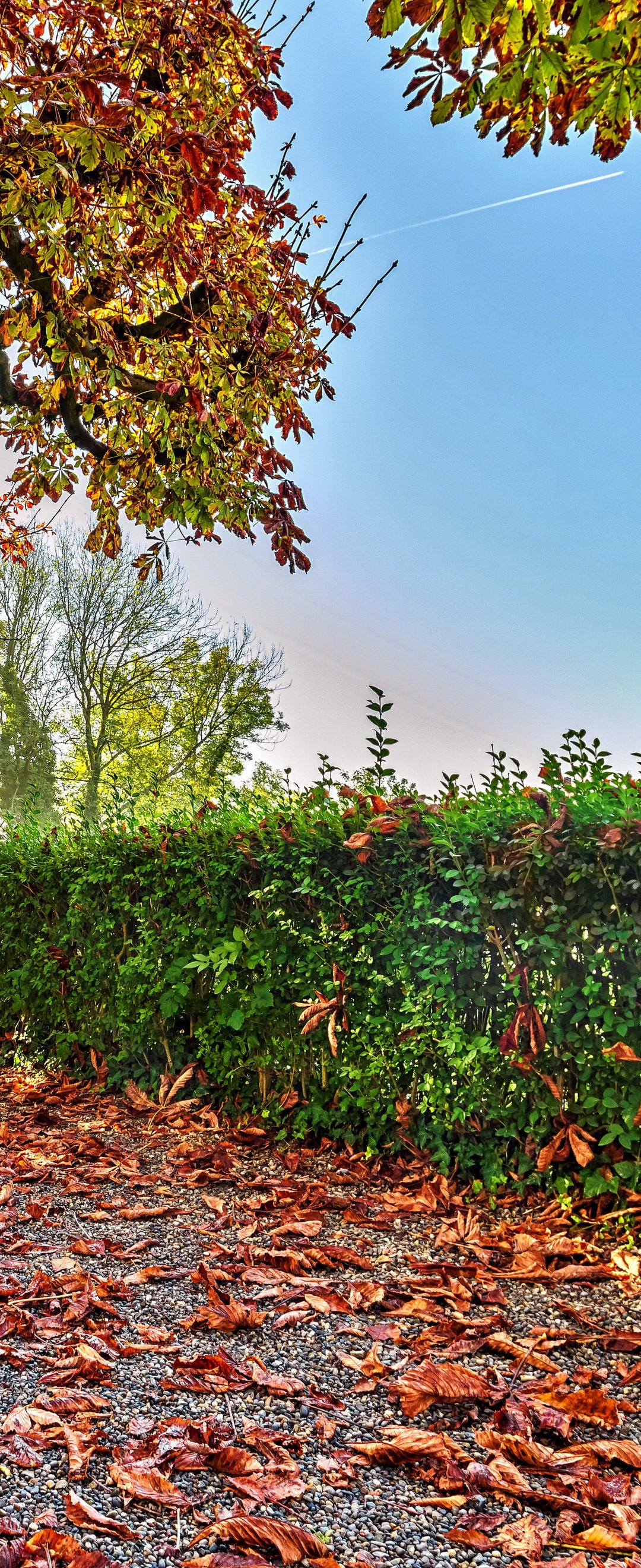 Autumn Park Scene with Bench - Wallpapers for Samsung Galaxy Z Flip6, Motorola Razr 2025 in 1080x2640 resolution