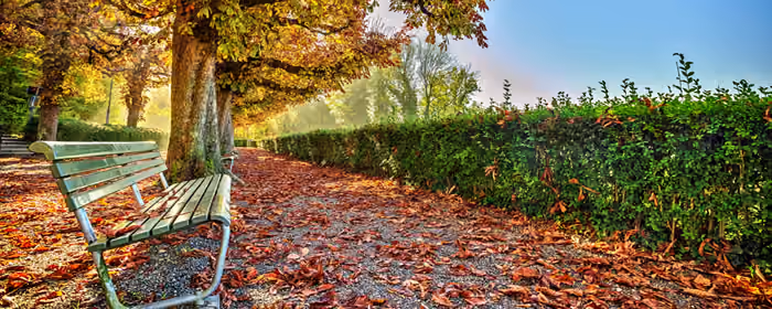 UltraWide 32:9 wallpapers (3840x1080): autumn, park, autumn leaves, bench