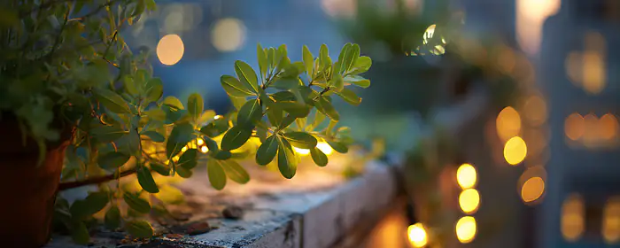 UltraWide 32:9 stringlight wallpapers (3840x1080): evening, flowers, stringlight, terrace