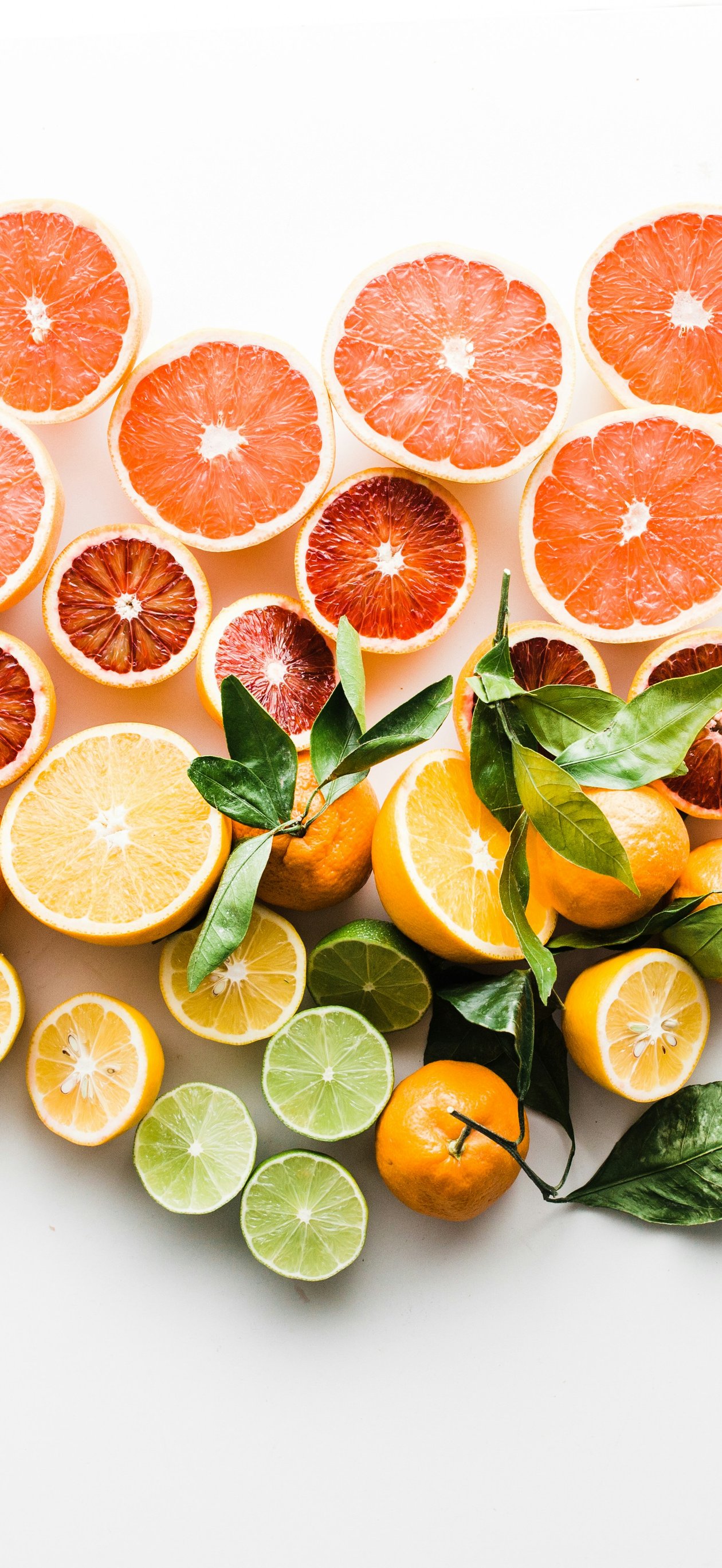 Citrus fruit composition - Wallpapers for iPhone Air in 1260x2736 resolution