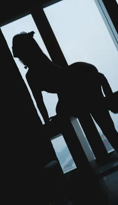 wall Wallpapers for iPhone 4/4S (640x960): cosplay, woman, silhouette, room