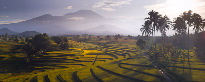 UltraWide 32:9 wallpapers (3840x1080): Indonesia, rice fields, mountains, tropics