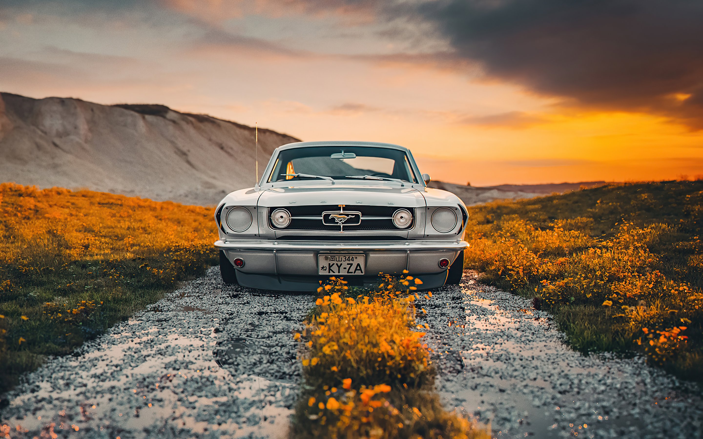 Ford Mustang Shelby на закате - Обои для Apple MacBook 15″ в разрешении 2880x1800