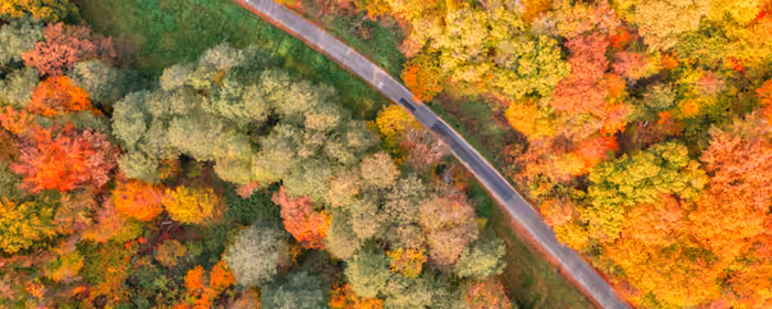 UltraWide 21:9 wallpapers (3440x1440): autumn, forest, road, trees