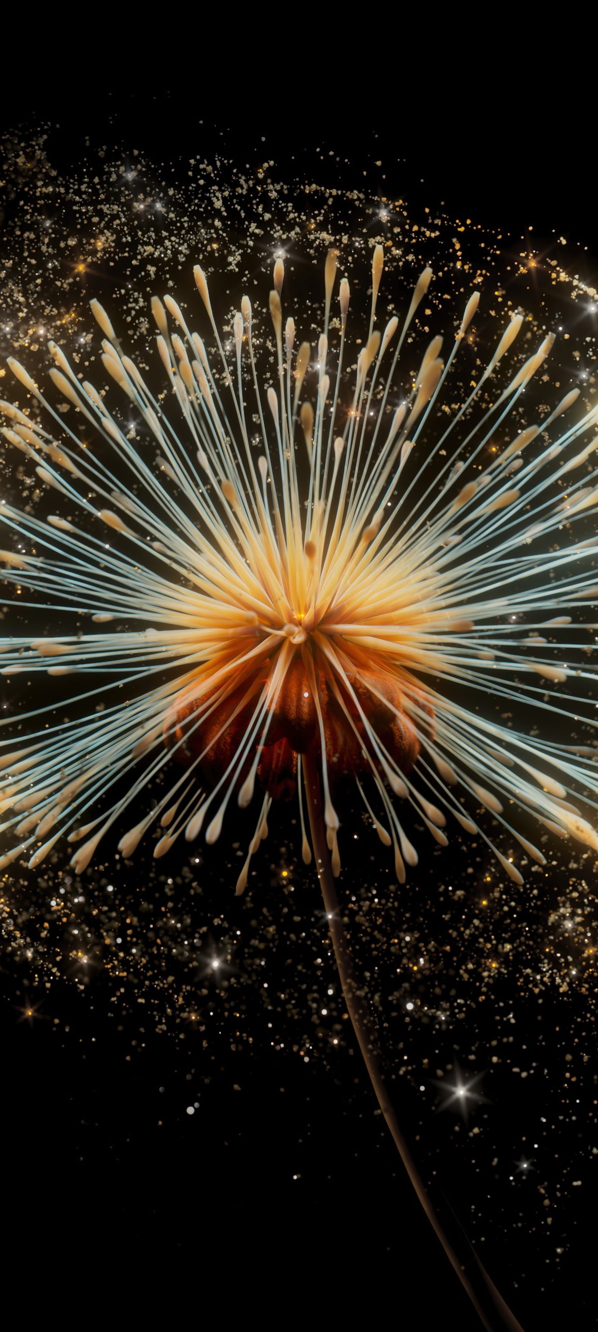 Dandelion with seeds in macro - Wallpapers for Xiaomi 15 in 1200x2670 resolution