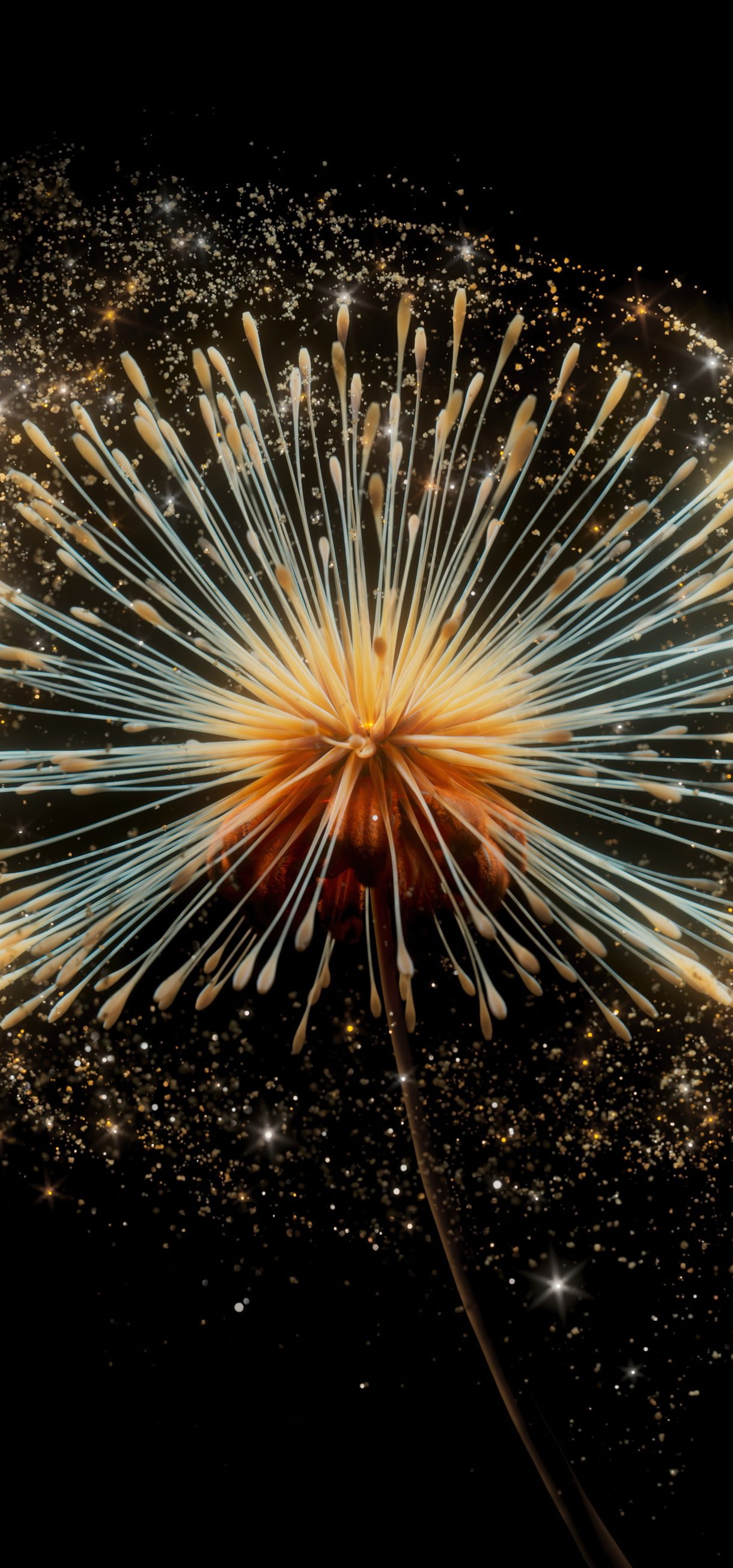 Dandelion with seeds in macro - Wallpapers for Xiaomi 17/17 Pro in 1220x2608 resolution