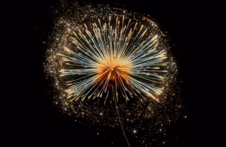 Seeds Wallpapers for iPad 10.2″ (2160x2160): dandelion, macro, flowers, seeds