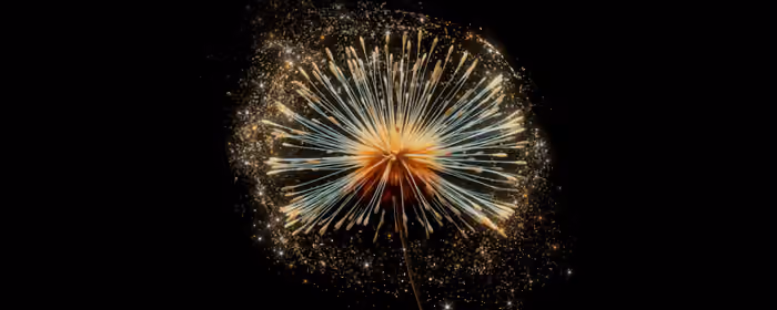 Nature wallpapers: dandelion, macro, flowers, seeds