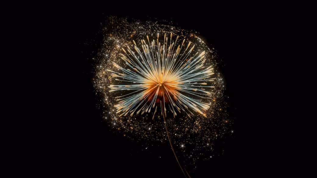 Dandelion with seeds in macro - 5K wallpapers in 5120x2880 resolution