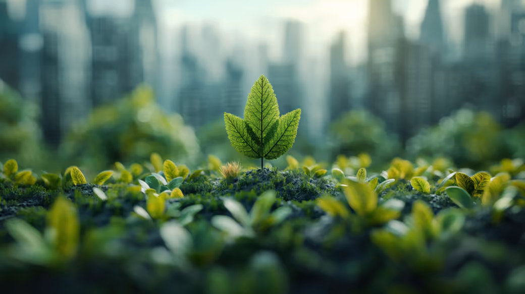 Green Sprout Among Moss and Grass — desktop and phone wallpaper, free download