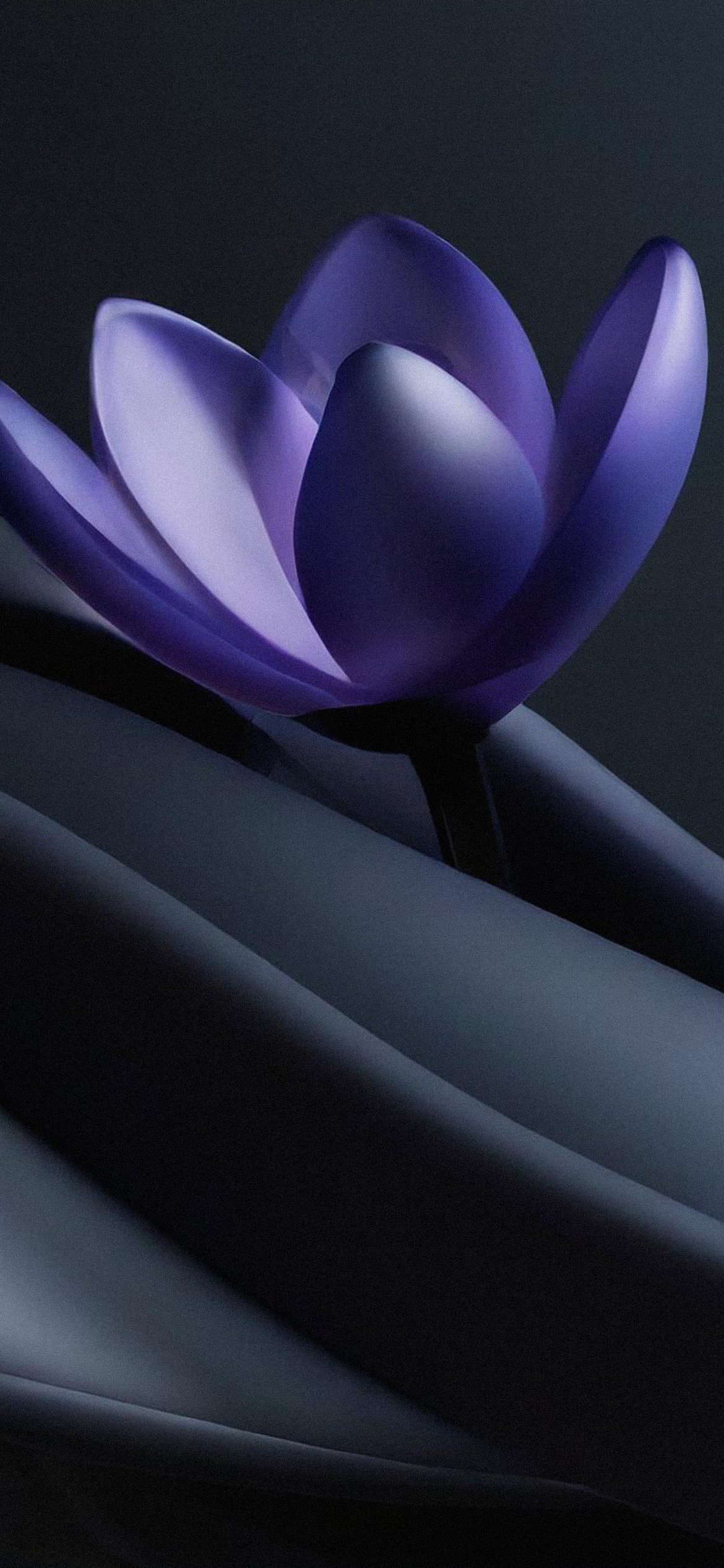 Purple Crocuses on Dark Waves - Wallpapers for iPhone 12 Pro/13 Pro/14 in 1170x2532 resolution