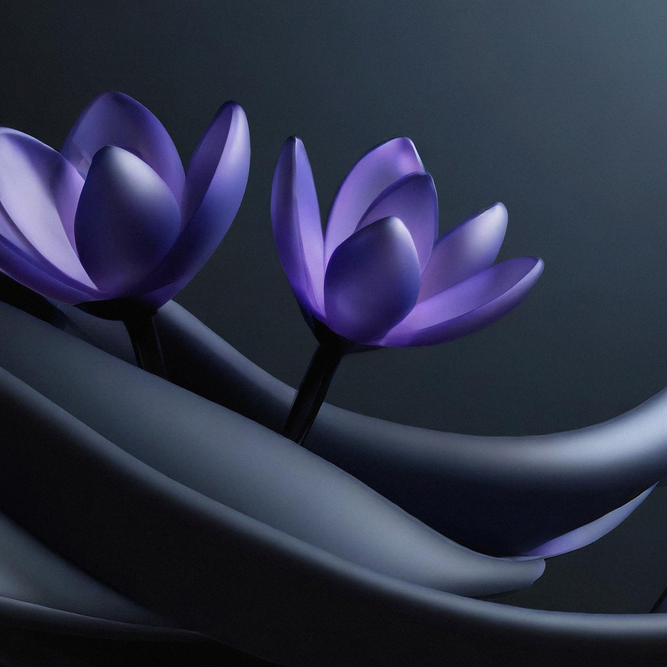 Purple Crocuses on Dark Waves - Wallpapers for iPad Pro 10.5″ in 2224x2224 resolution