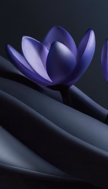 Abstractions wallpapers: crocuses, flowers, waves, silk