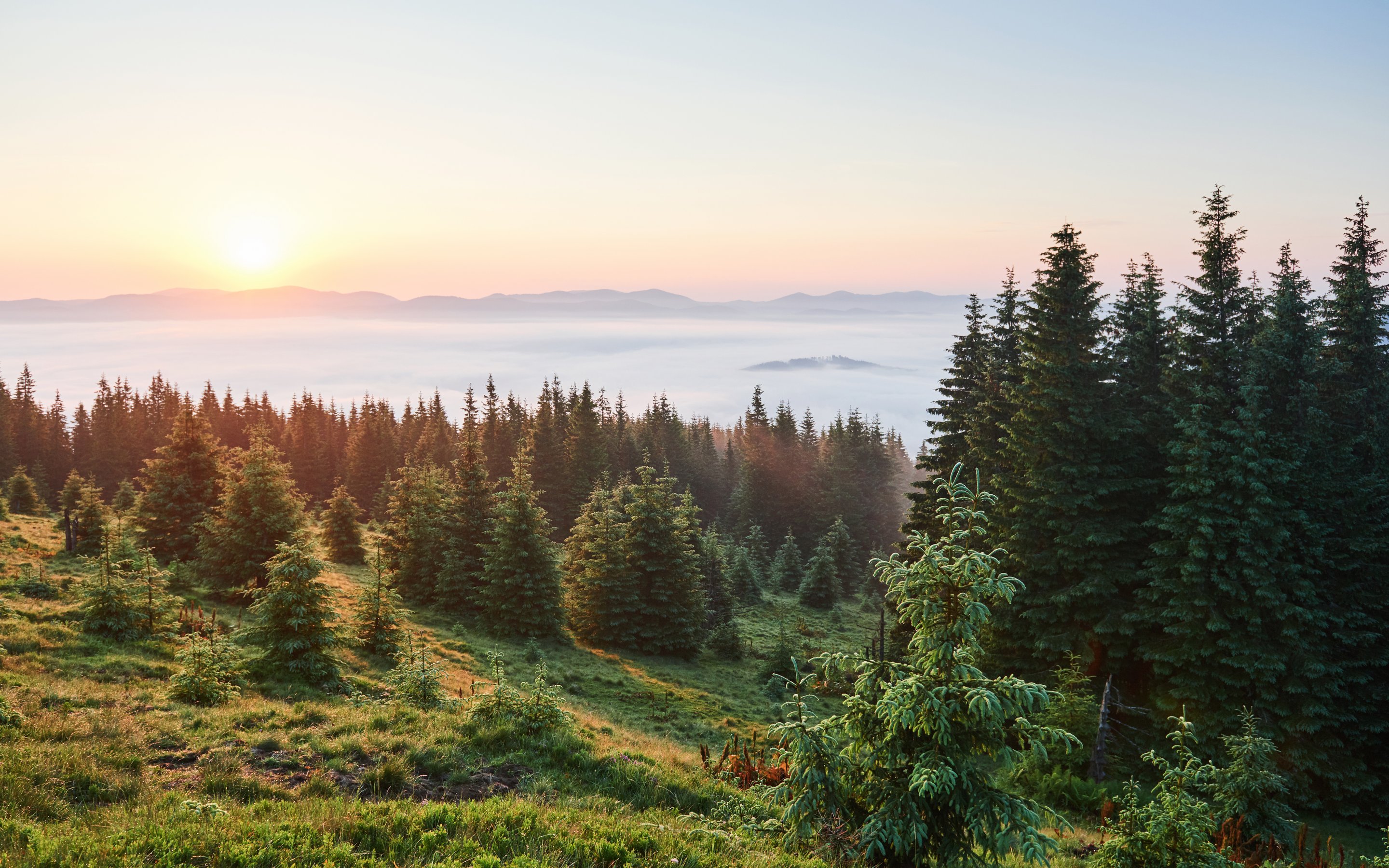 Sunset over the forest and misty mountains - Wallpapers for Apple MacBook 15″ in 2880x1800 resolution