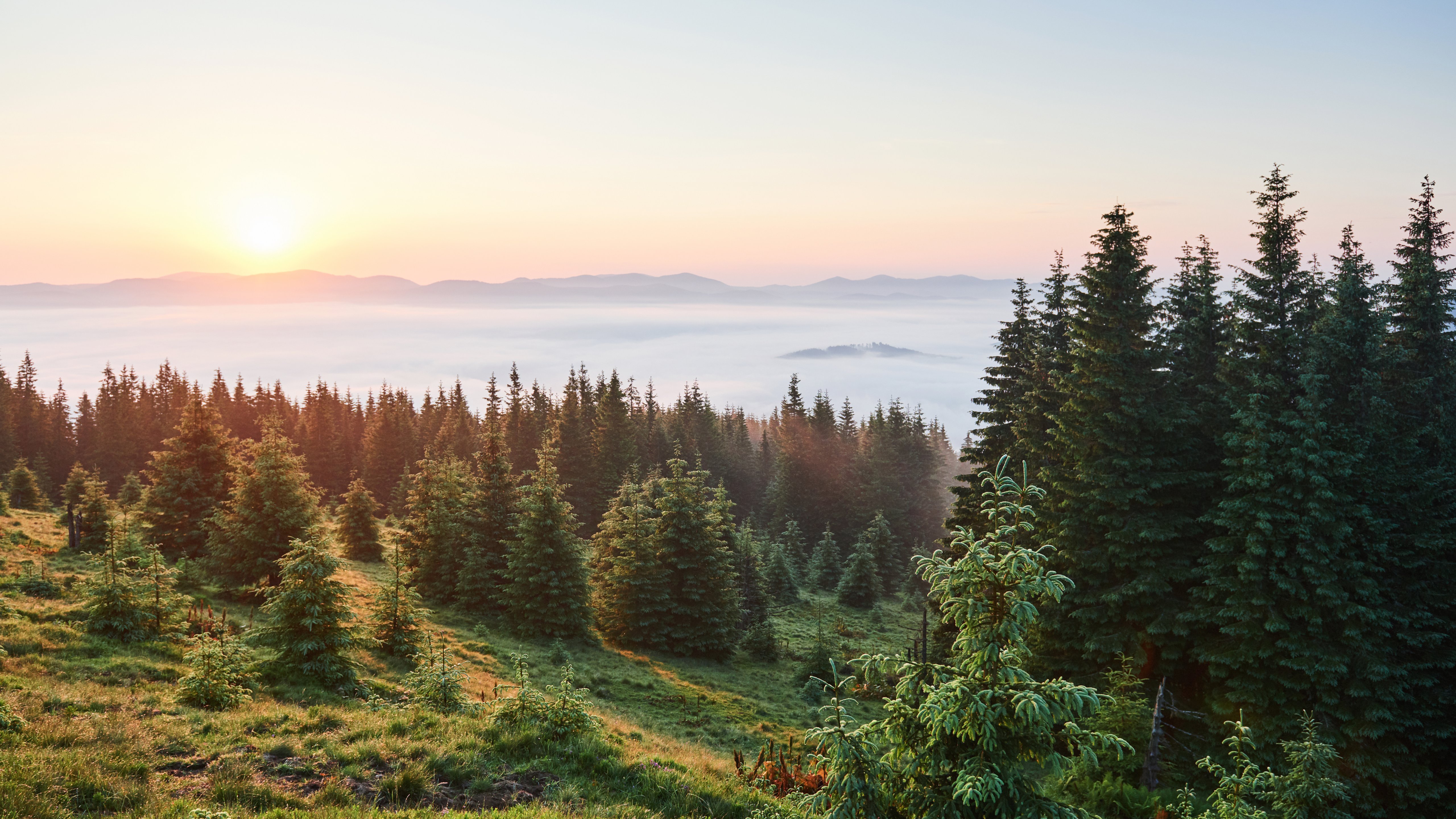 Sunset over the forest and misty mountains - 5K wallpapers in 5120x2880 resolution