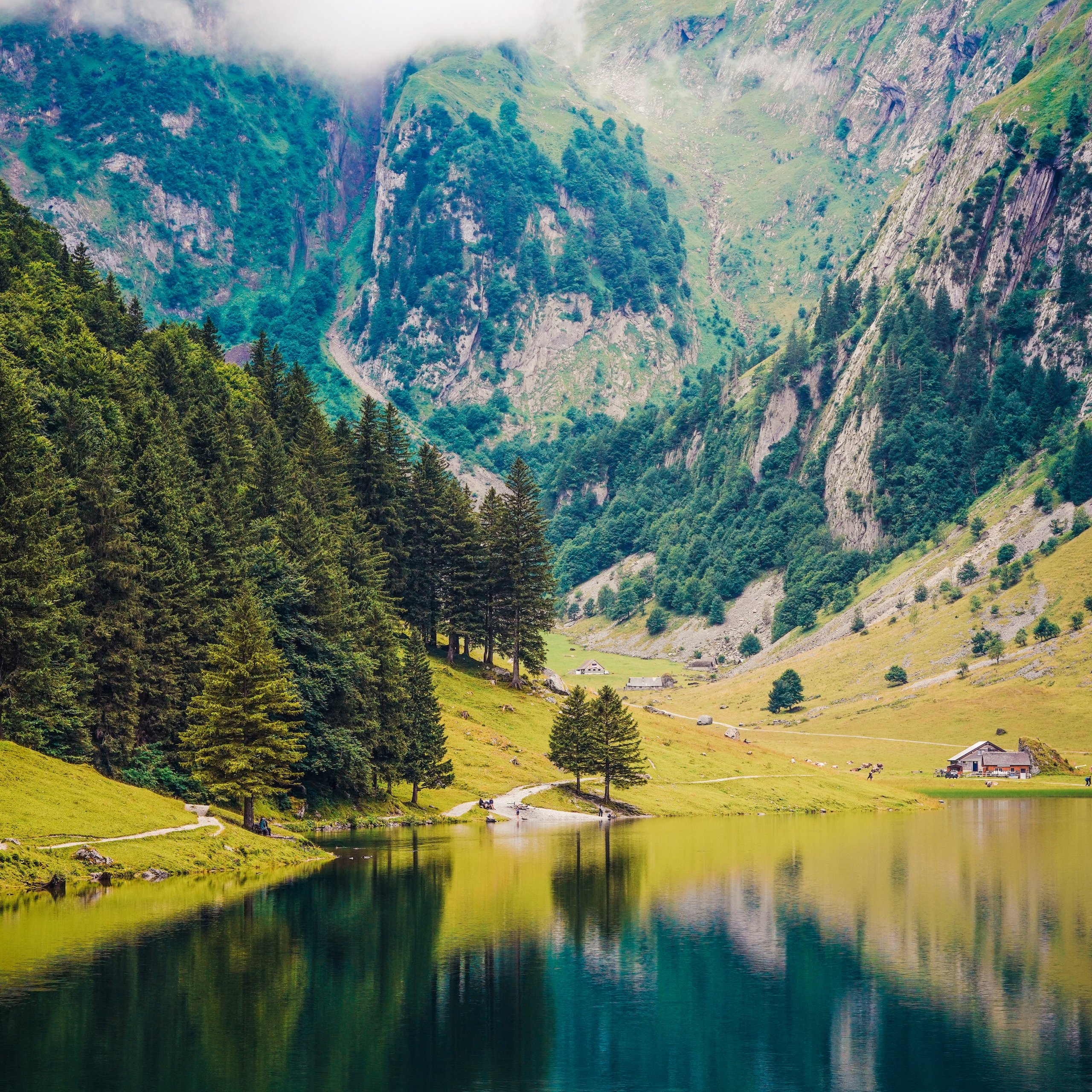 Swiss Alps Summer Lake Cabin - Wallpapers for Samsung Galaxy Tab S9 FE+/Tab S11, Xiaomi Pad 5, Redmi Pad 2 Pro, POCO Pad in 2560x2560 resolution