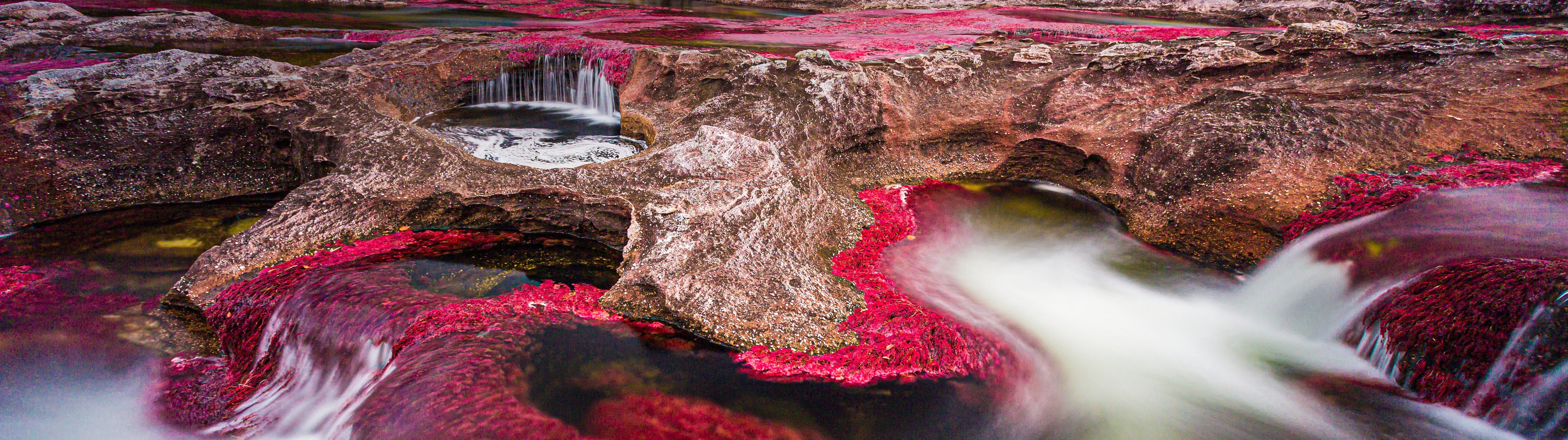 Cano Cristales River in Colombia - UltraWide 32:9 wallpapers in 5120x1440 resolution