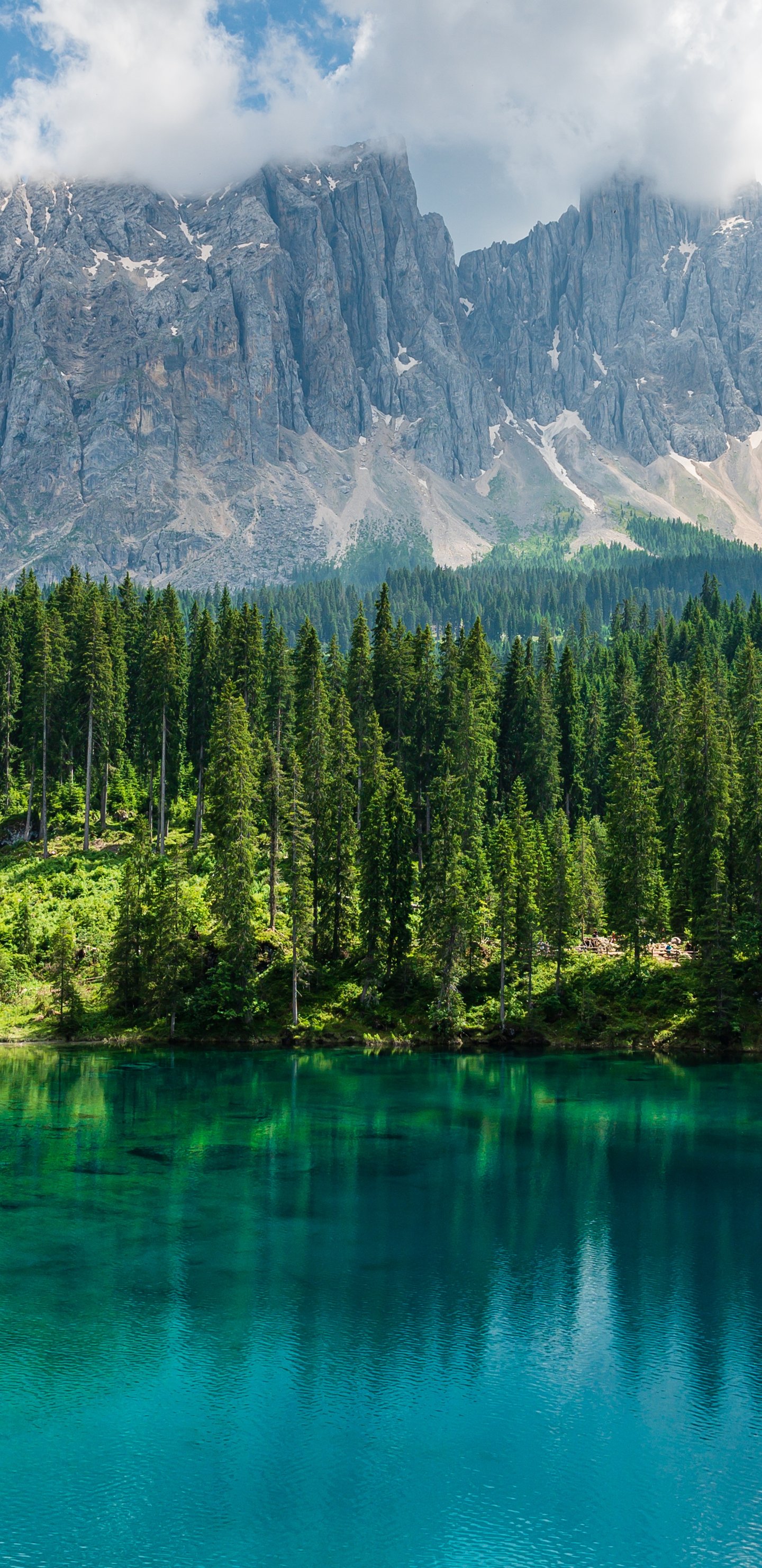 Turquoise Lake Karezza in summer in Italy - Wallpapers for Samsung Galaxy S8/S8+/Note 8/S9/S9+/Note 9 in 1440x2960 resolution