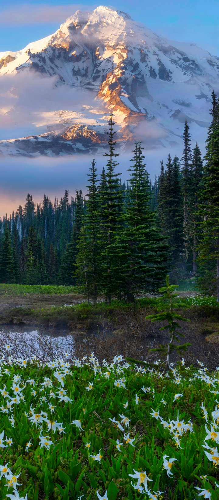 Mount Rainier Evening Cabin View - Wallpapers for Xiaomi Redmi 14C, POCO C71/C75/M7, Infinix Note 8 in 720x1640 resolution