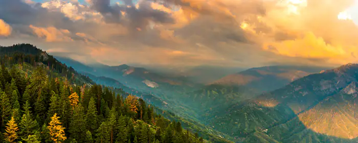 UltraWide 32:9 pine wallpapers (5120x1440): national park, mountains, forest, valley