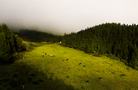 Nature wallpapers: mountains, valley, field, grass
