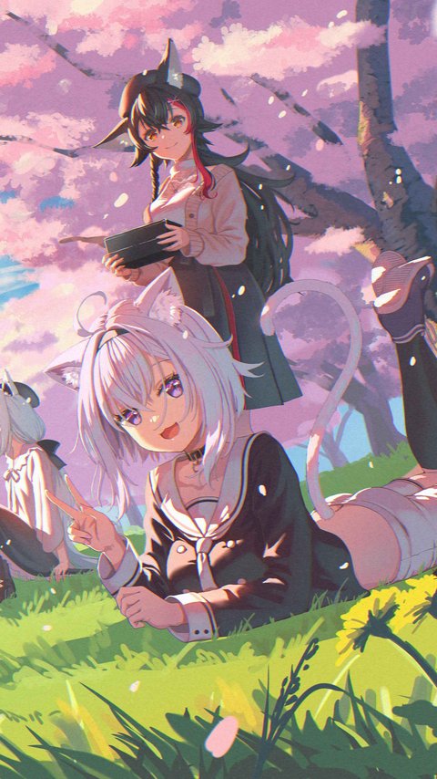 Anime Catgirl in Spring Sakura Field - Wallpapers for LG/ASUS in 480x854 resolution