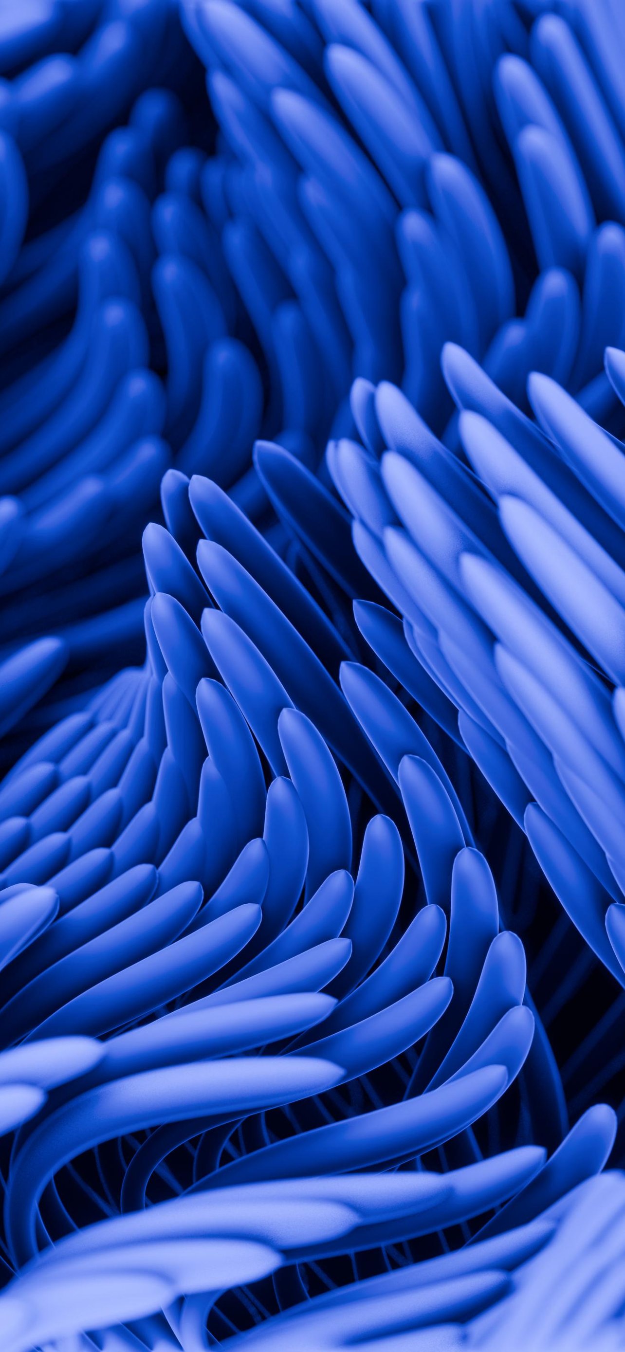 Blue Fluid Gradient Pattern - Wallpapers for iPhone 13 Pro Max/12 Pro Max/14 Plus in 1284x2778 resolution