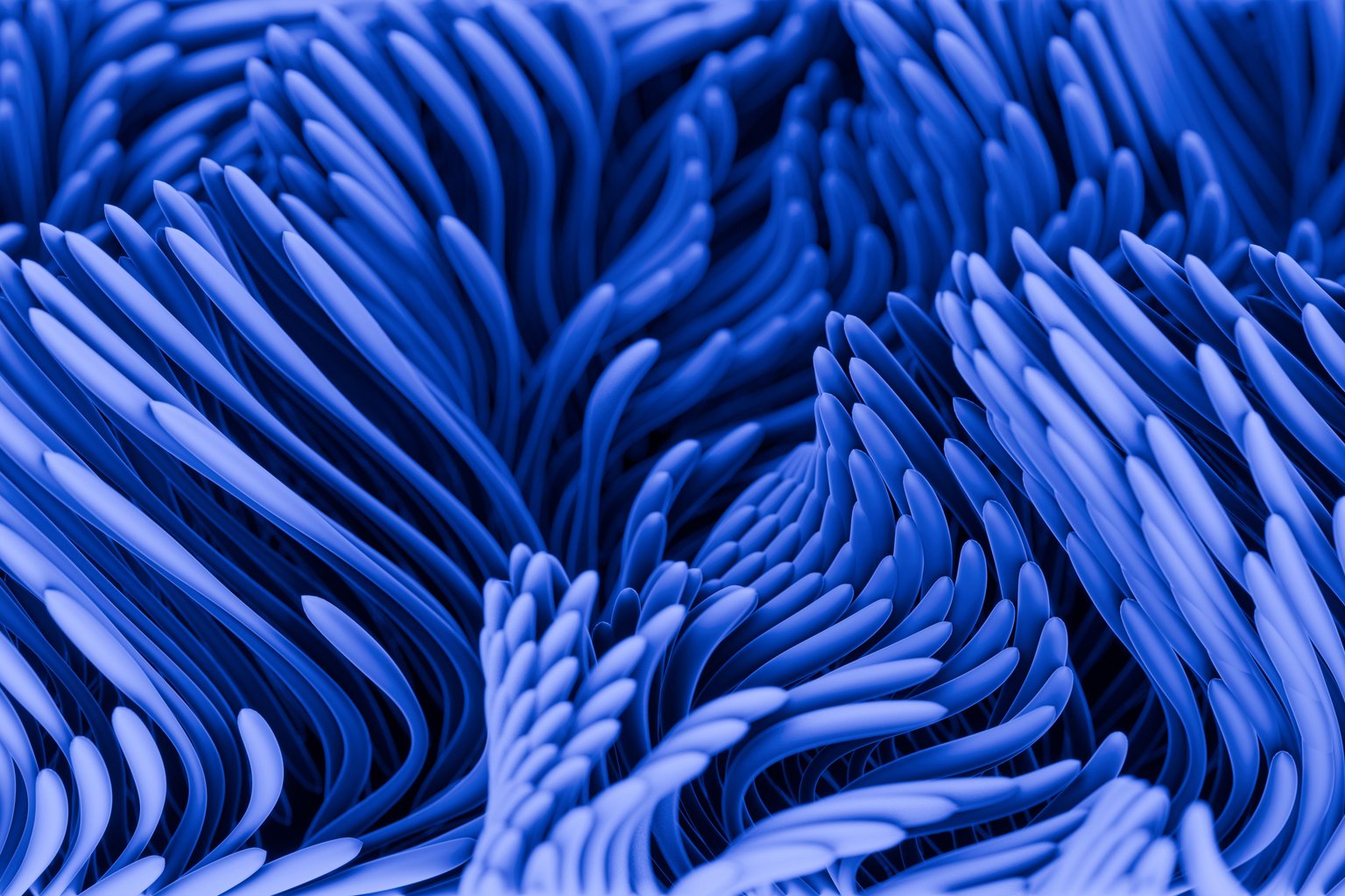Blue Fluid Gradient Pattern - Microsoft Surface 12.4″ wallpapers in 1536x1024 resolution