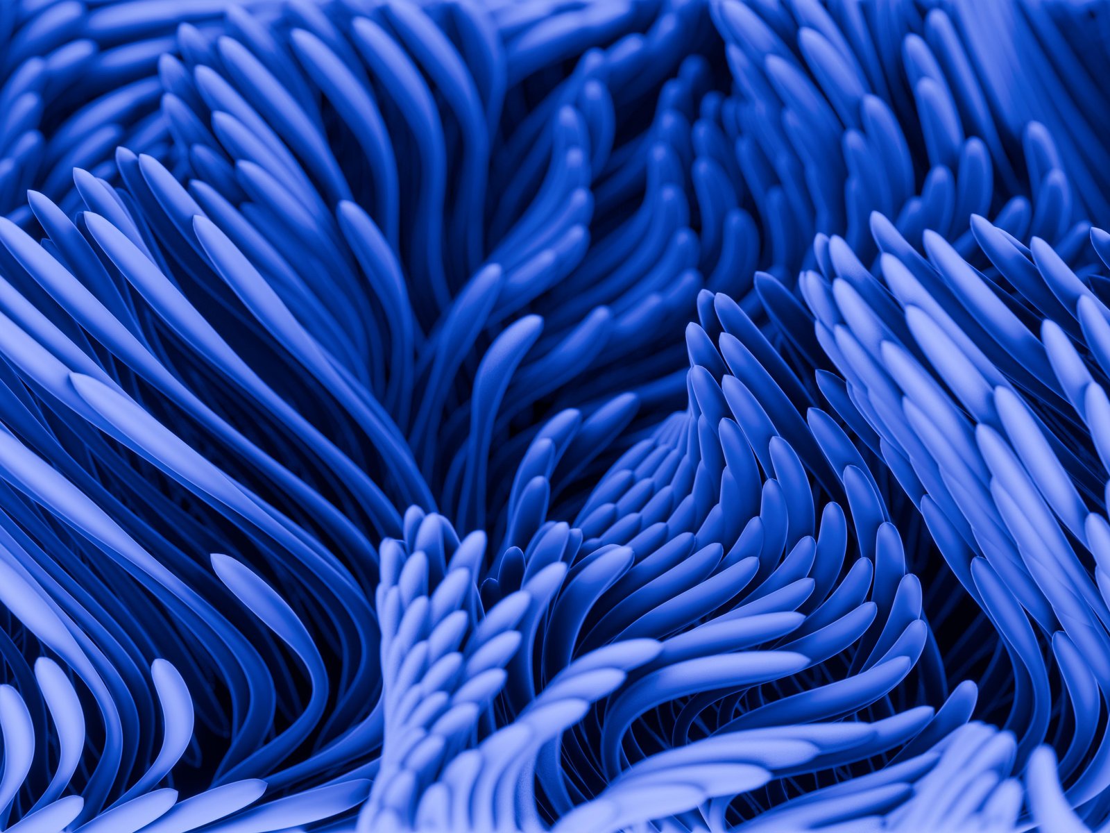 Blue Fluid Gradient Pattern - UXGA wallpapers in 1600x1200 resolution