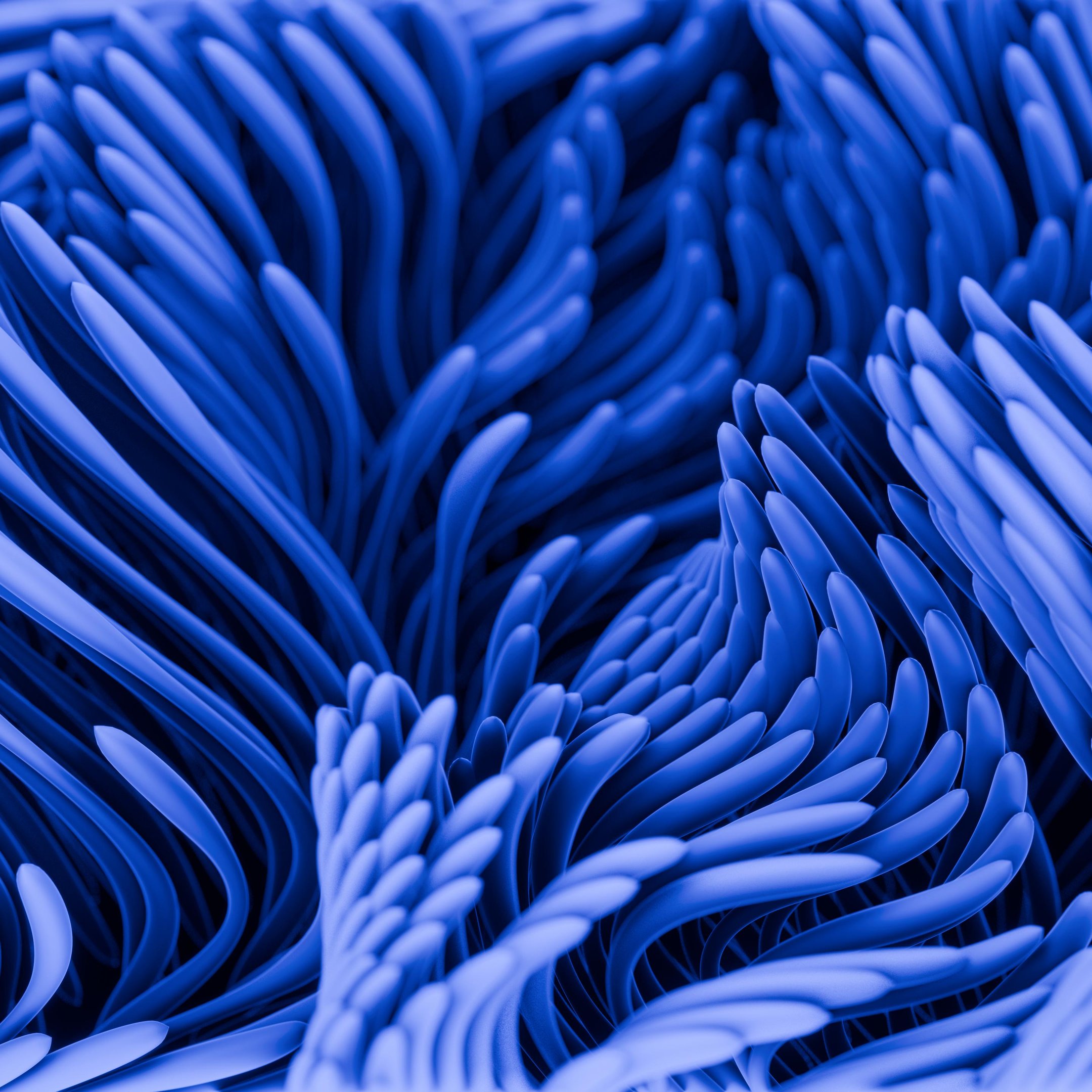 Blue Fluid Gradient Pattern - Wallpapers for iPad 10.2″ in 2160x2160 resolution