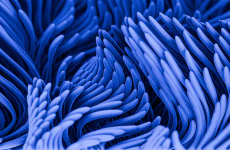 Wallpapers for Samsung Galaxy Tab S9+ (2800x2800): waves, lines, swirl, gradient