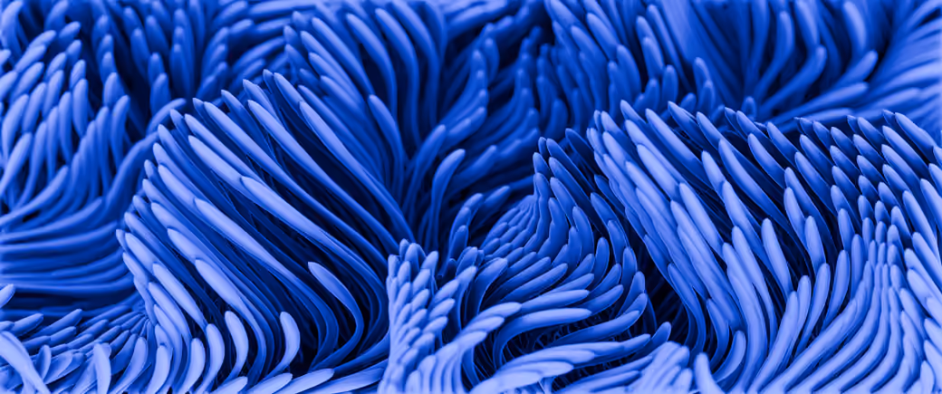 Blue Fluid Gradient Pattern - Wallpapers for Samsung/Xiaomi in 2000x2000 resolution