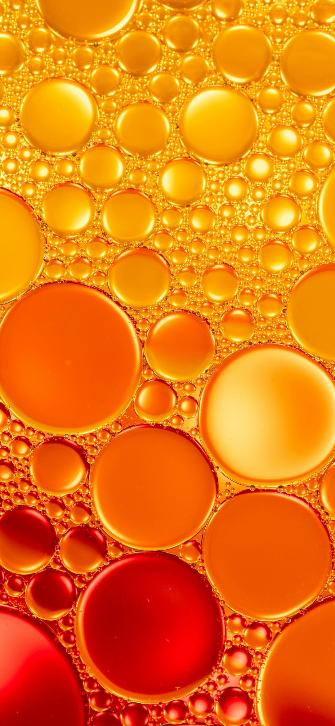 Macro Orange and Red Bubbles - Wallpapers for iPhone 12 mini/13 mini, Samsung Galaxy S24/S24 FE/S25/S25 FE/S26/A55/A56/A35/A26/A16/M15, Xiaomi, Sony Xperia in 1080x2340 resolution