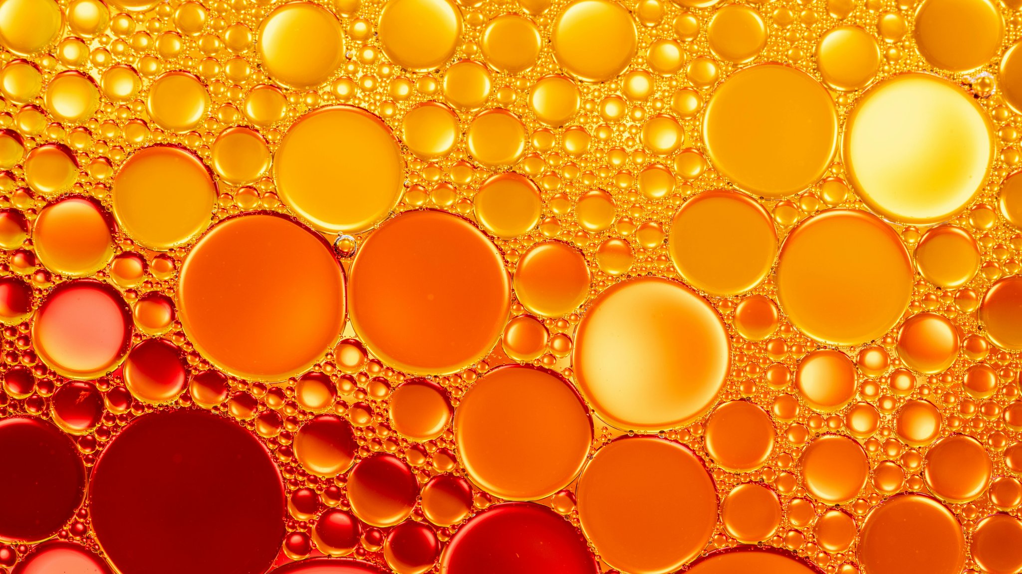 Macro Orange and Red Bubbles - QWXGA wallpapers in 2048x1152 resolution