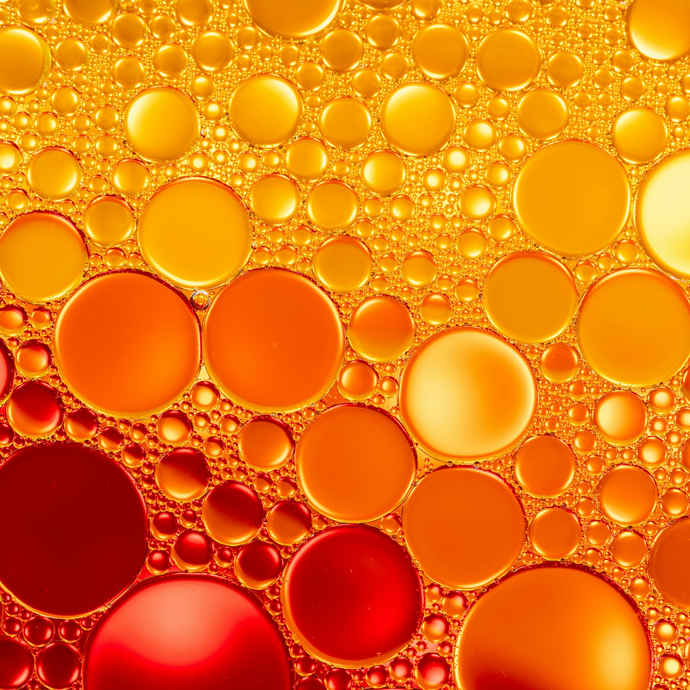 Macro Orange and Red Bubbles - Wallpapers for iPad Air 10.9″ in 2360x2360 resolution