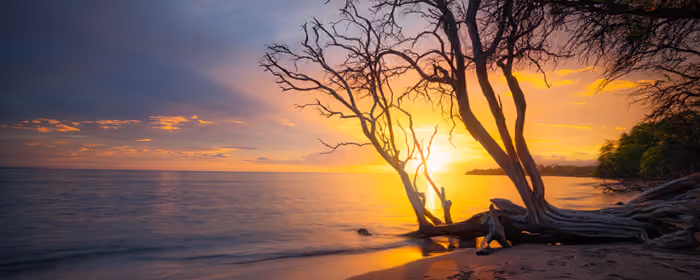 Nature wallpapers: evening, sunset, coast, Sun
