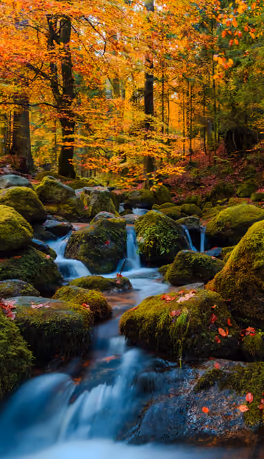 Nature wallpapers: Germany, autumn, stream, forest