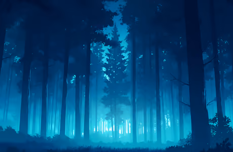 Fog Wallpapers: forest, night, moonlight, trees