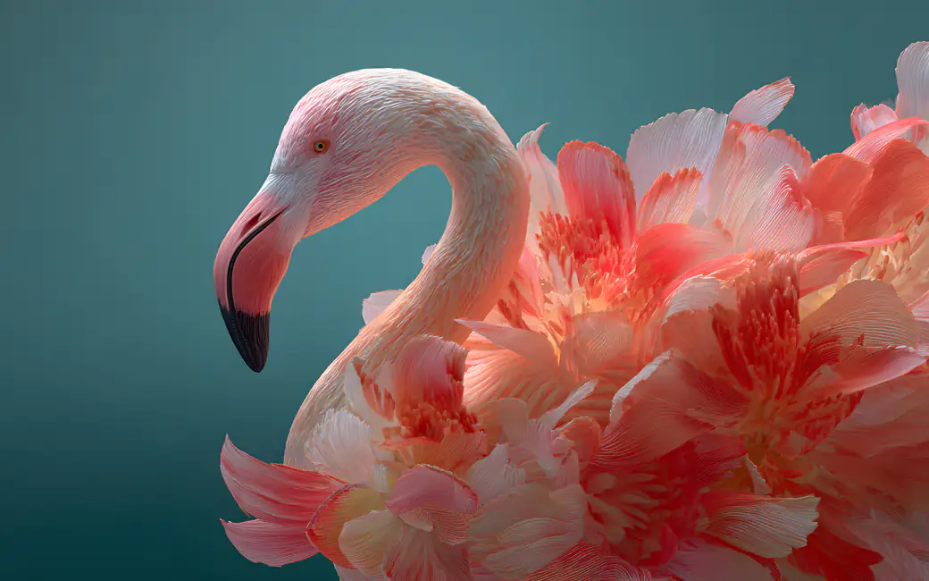 Pink Flamingo with Colorful Feathers — desktop and phone wallpaper, free download