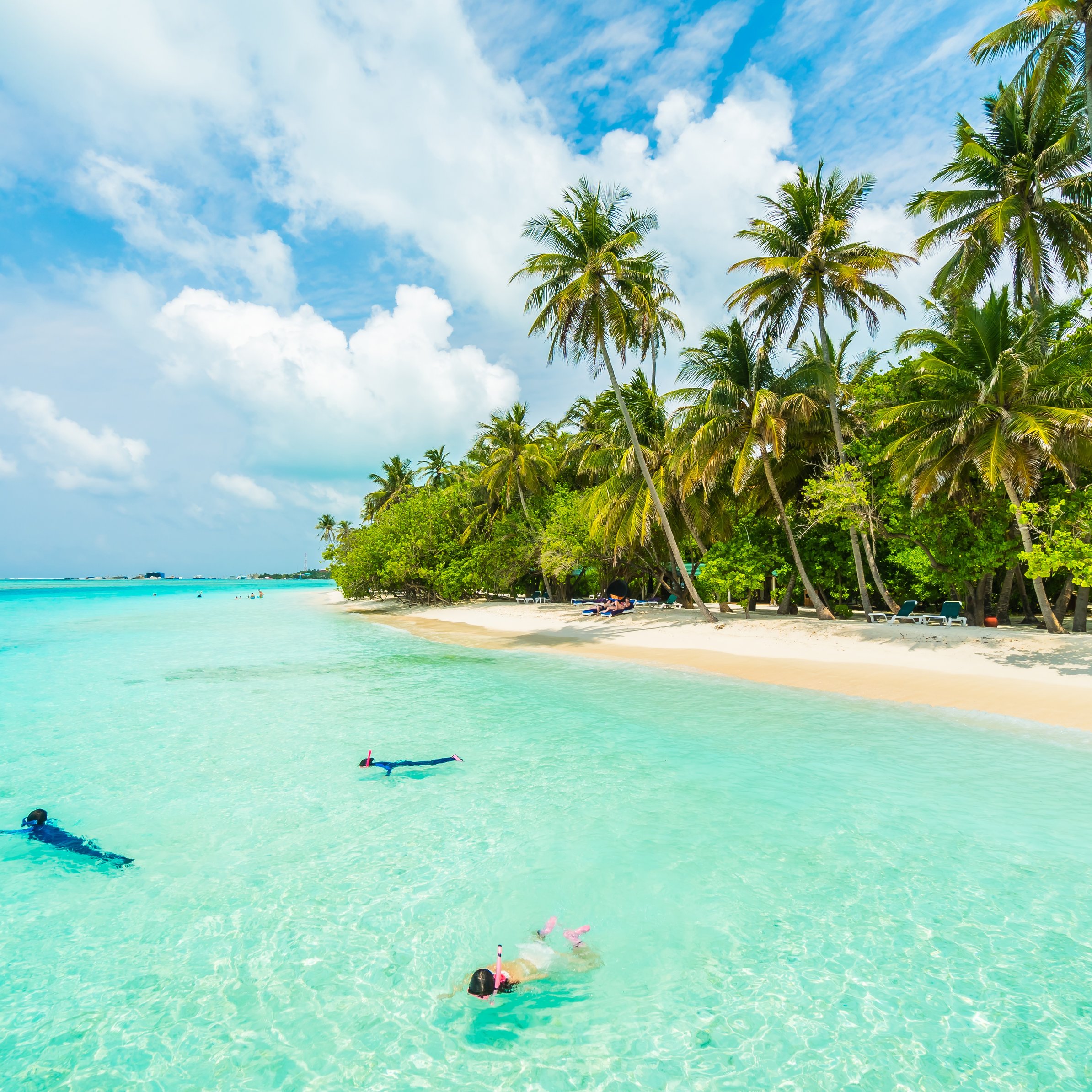 Tropical Beach with Palms and Ocean - Wallpapers for iPad Pro 11″ in 2388x2388 resolution