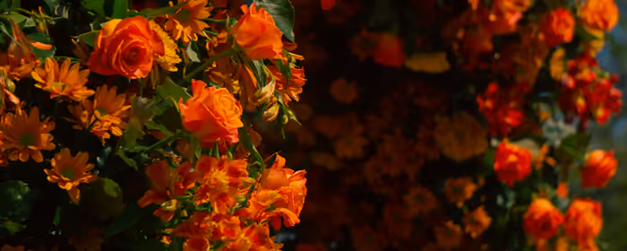 UltraWide 32:9 wallpapers (3840x1080): roses, bush, summer, garden