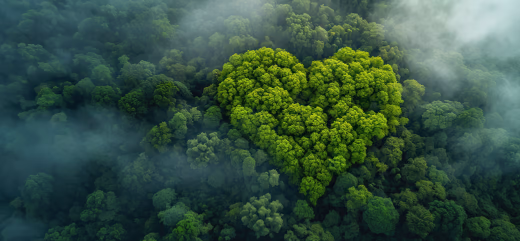 Tropic Forest Heart Landscape - Wallpapers for Samsung Galaxy Z Fold4/Z Fold5/Z Fold6 in 1812x2176 resolution
