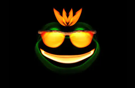 WSXGA+ cute animals wallpapers (1680x1050): frog, neon, glasses, eyes