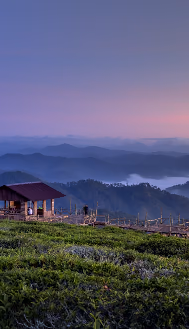 Nature wallpapers: mountains, valley, grass, evening