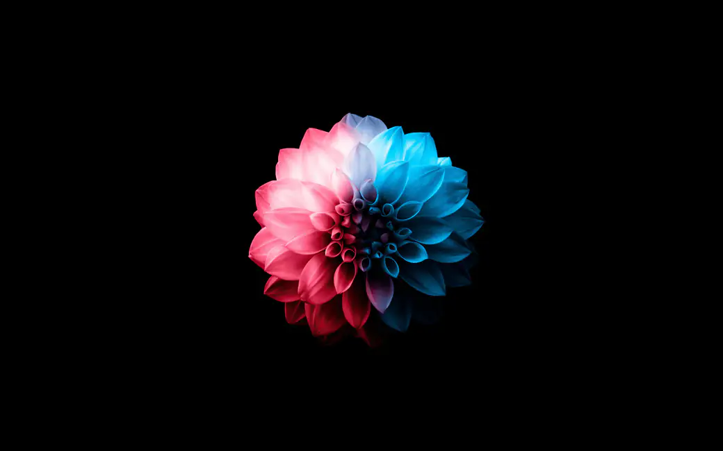 Neon Flower with Glowing Petals — desktop and phone wallpaper, free download